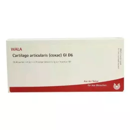 CARTILAGO articularis coxae GL D 6 ampoules, 10X1 ml