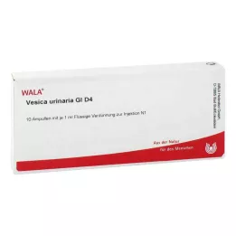 VESICA URINARIA GL D 4 ampoules, 10X1 ml