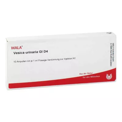Ampoules Vesica Urinaria Gl D4 (10x1 ml)