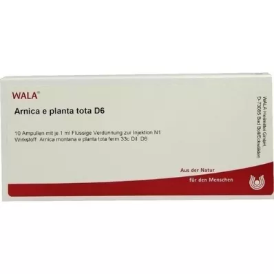 ARNICA E Planta tota D 6 ampoules, 10X1 ml