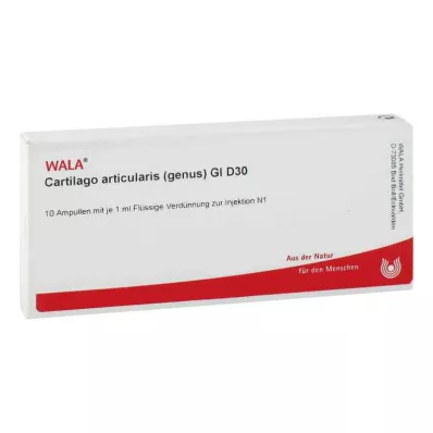 CARTILAGO articularis genus GL D 30 ampoules, 10X1 ml