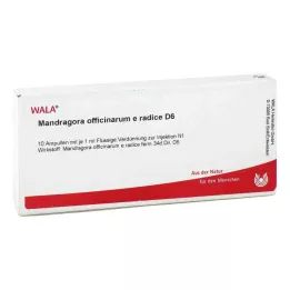 MANDRAGORA OFFICINARIUM e radice D 6 ampoules, 10X1 ml