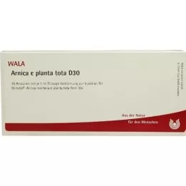 ARNICA E Planta tota D 30 ampoules, 10X1 ml