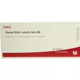 VISCUM MALI e planta tota D 6 ampoules, 10X1 ml