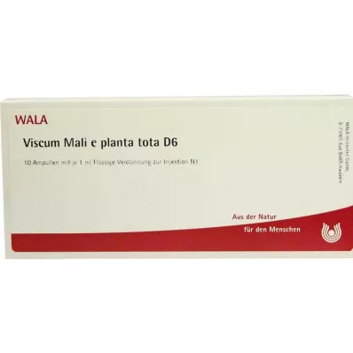 VISCUM MALI e planta tota D 6 ampoules, 10X1 ml VISCUM MALI e planta tota D 6 ampoules, 10X1 ml