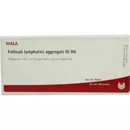 FOLLICULI LYMPHATICI aggregati GL D 6 ampoules, 10X1 ml