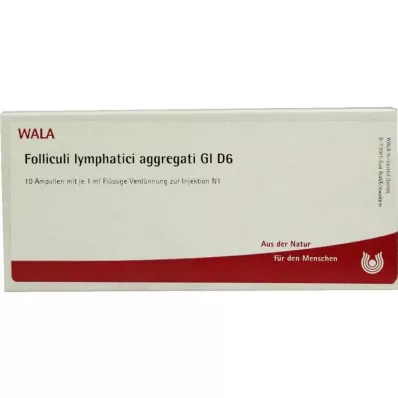 Folliculi lymphatici aggregati GL D 6 ampoules, 10X1 ml