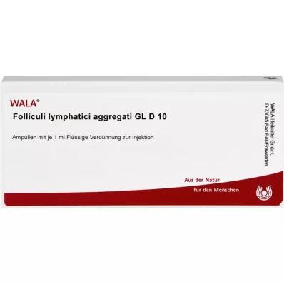 FOLLICULI LYMPHATICI aggregati GL D 10 ampoules, 10X1 ml