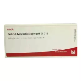 FOLLICULI LYMPHATICI aggregati GL D 15 ampoules, 10X1 ml
