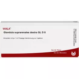 GLANDULA SUPRARENALES dextra GL D 8 ampoules, 10X1 ml