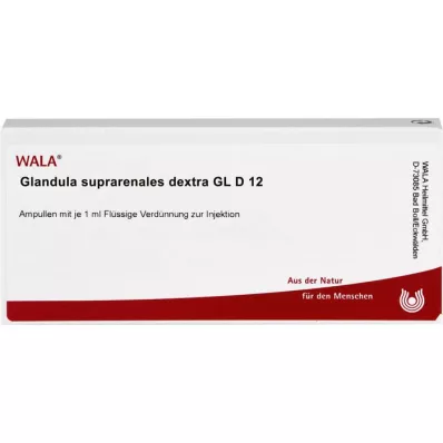 GLANDULA SUPRARENALES dextra GL D 12 ampoules, 10X1 ml