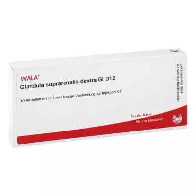 Glande surrénale.Ampoules Dextra Gl D12 (10x1 ml)
