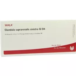 GLANDULA SUPRARENALIS sinistra GL ampoules D 4, 10X1 ml