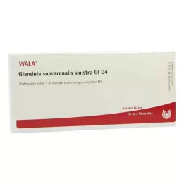 GLANDULA SUPRARENALIS sinistra GL ampoules D 4, 10X1 ml