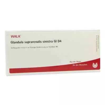 GLANDULA SUPRARENALIS sinistra GL ampoules D 4, 10X1 ml