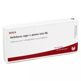 HELLEBORUS NIGER e planta tota D 6 ampoules, 10X1 ml