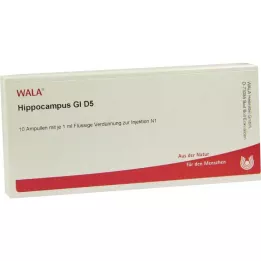 HIPPOCAMPUS GL D 5 ampoules, 10X1 ml