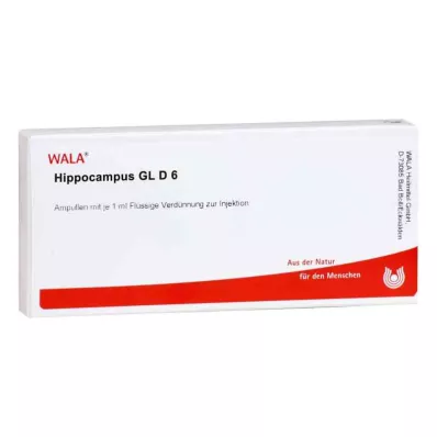 Ampoules Hippocampus Gl D6 (10x1 ml)