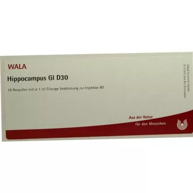 Hippocampe GL D 30 ampoules, 10X1 ml