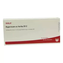 HYPERICUM EX Herba D 12 ampoules, 10X1 ml