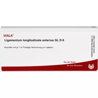 LIGAMENTUM LONGITUDINALE anterius GL D 6 ampoules, 10X1 ml