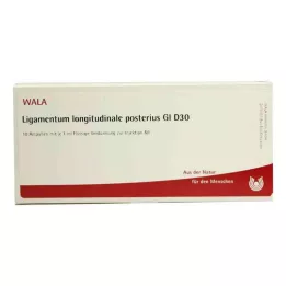 LIGAMENTUM LONGITUDINALE posterius GL D 30 amp, 10X1 ml