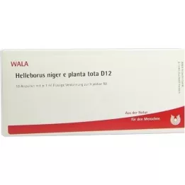 HELLEBORUS NIGER e planta tota D 12 ampoules, 10X1 ml