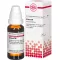 SILICEA D 6 Dilution, 20 ml