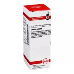 LEDUM EXTERN Teinture, 20 ml