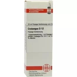 CRATAEGUS D 12 Dilution, 20 ml