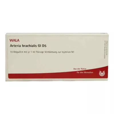 Ampoules Arteria Brachialis Gl D5 (10x1 ml)