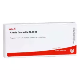 ARTERIA FEMORALIS GL D 30 ampoules, 10X1 ml