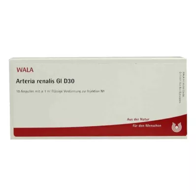 Ampoules Arteria Renalis Gl D30 (10x1 ml)