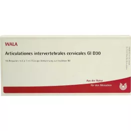 ARTICULATIONES intervertébral.cerv.GL D 30 amp, 10X1 ml