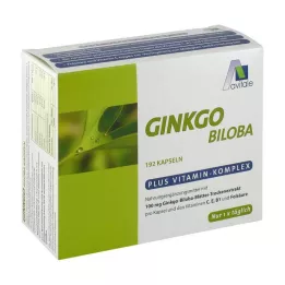 GINKGO 100 mg Gélules+B1+C+E, 192 pcs
