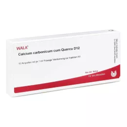 CALCIUM CARBONICUM CUM quercus D 12 ampoules, 10X1 ml