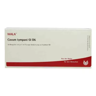 Ampoules Cavum Tympani Gl D6 (10x1 ml)