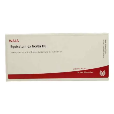EQUISETUM EX Herba D 6 ampoules, 10X1 ml