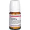 MAGNESIUM CARBONICUM D 8 comprimés, 80 pc