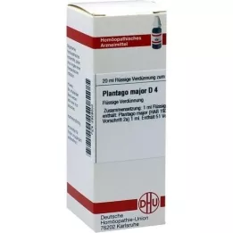 PLANTAGO MAJOR D 4 Dilution, 20 ml