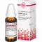 PLANTAGO MAJOR D 4 Dilution, 20 ml