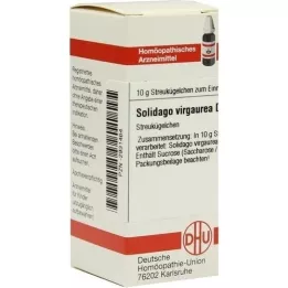 SOLIDAGO VIRGAUREA Globules D 3, 10 g