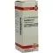 SYMPHYTUM D 12 Dilution, 20 ml