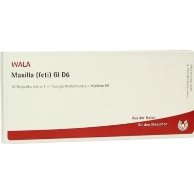 MAXILLA feti GL D 6 ampoules, 10X1 ml