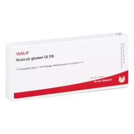 MUSCULI GLUTAEI GL D 5 ampoules, 10X1 ml