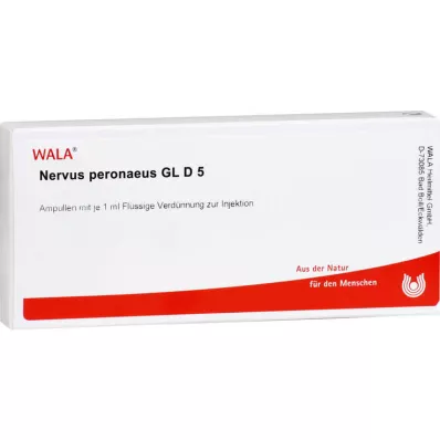 NERVUS PERONAEUS GL D 5 ampoules, 10X1 ml