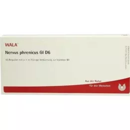 NERVUS PHRENICUS GL D 6 ampoules, 10X1 ml