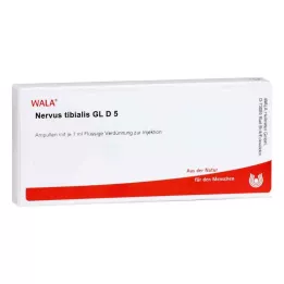 NERVUS TIBIALIS GL D 5 ampoules, 10X1 ml