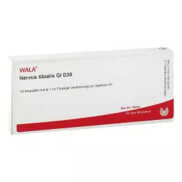 NERVUS TIBIALIS GL D 30 ampoules, 10X1 ml