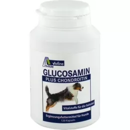 GLUCOSAMIN+CHONDROITIN Gélules pour chiens, 120pcs